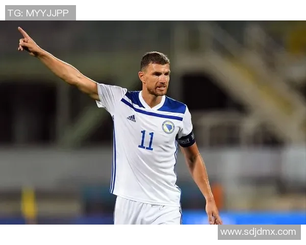 意大利与波黑精彩对决央视回放全程回顾与分析 意大利与波黑精彩对决央视回放全程回顾与分析