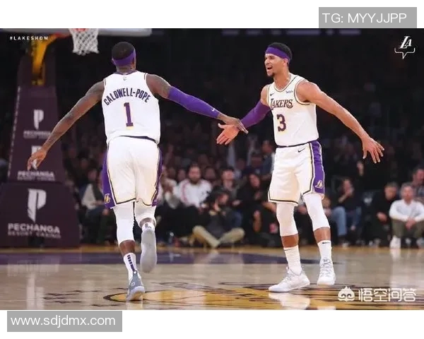 湖人对决国王与老鹰的精彩较量展现篮球魅力与团队精神