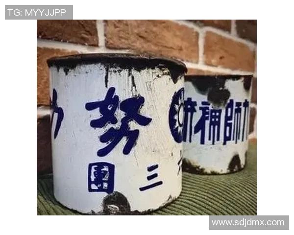 王少杰在新时代的奋斗历程与成就探索:从平凡到卓越的成长故事 王少杰在新时代的奋斗历程与成就探索:从平凡到卓越的成长故事