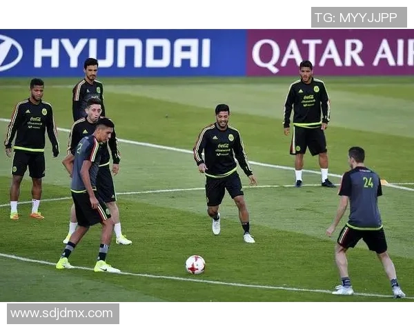 葡萄牙与墨西哥足球对决阵容分析及战术解析