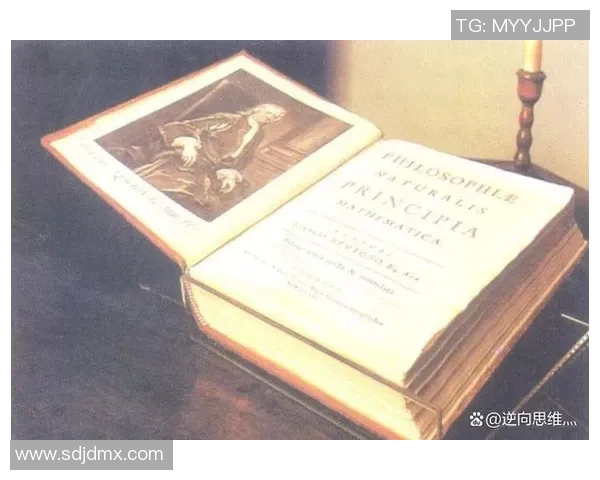 加莱诺的艺术魅力与文化影响力探讨及其在当代社会的价值体现