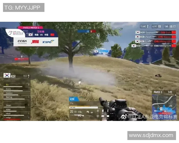 华沙军团与科克城精彩对决重播回顾赛场瞬间与战术分析